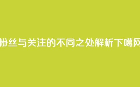 粉丝与关注的不同之处解析 第1张 粉丝与关注的不同之处解析 第1张
