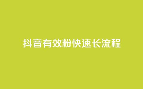 抖音500有效粉快速长流程 - 抖音快速增长500个有效粉丝的完整方法~ 第1张 抖音500有效粉快速长流程 - 抖音快速增长500个有效粉丝的完整方法~ 第1张