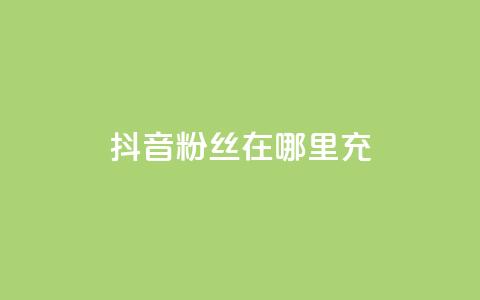抖音粉丝在哪里充 - 哪里可以快速增加抖音粉丝数! 第1张 抖音粉丝在哪里充 - 哪里可以快速增加抖音粉丝数! 第1张