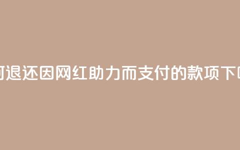 如何退还因网红助力而支付的款项 第1张 如何退还因网红助力而支付的款项 第1张