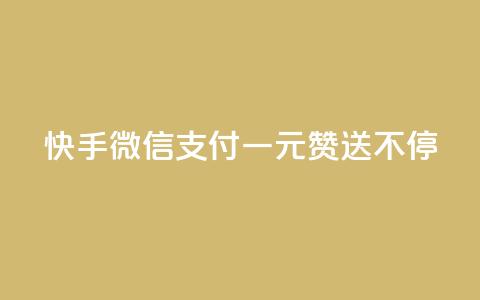 快手微信支付:一元赞送不停 第1张 快手微信支付:一元赞送不停 第1张