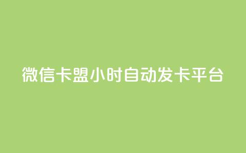 微信卡盟24小时自动发卡平台 - 最佳SEO实践:全天候自动发卡平台,微信卡盟买卡24小时服务~ 第1张 微信卡盟24小时自动发卡平台 - 最佳SEO实践:全天候自动发卡平台,微信卡盟买卡24小时服务~ 第1张