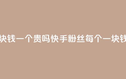 快手粉丝一块钱一个贵吗 - 快手粉丝每个一块钱贵吗?。 第1张 快手粉丝一块钱一个贵吗 - 快手粉丝每个一块钱贵吗?。 第1张