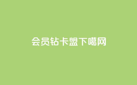 QQ会员钻卡盟 第1张 QQ会员钻卡盟 第1张