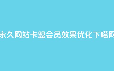 永久网站卡盟会员效果优化 第1张 永久网站卡盟会员效果优化 第1张