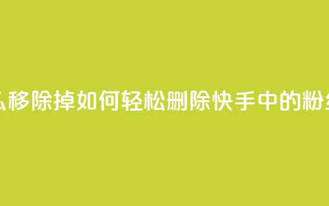 快手粉丝怎么移除掉 - 如何轻松删除快手中的粉丝账号! 第1张 快手粉丝怎么移除掉 - 如何轻松删除快手中的粉丝账号! 第1张