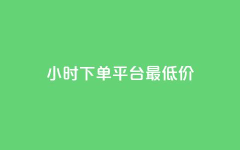 24小时下单平台最低价 - 24小时下单平台，优质商品最低价限时抢购！! 第1张