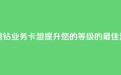 qq钻业务卡盟 - 提升您的QQ等级的最佳选择! 第1张 qq钻业务卡盟 - 提升您的QQ等级的最佳选择! 第1张