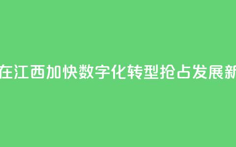 台商在江西:加快数字化转型 抢占发展新赛道 第1张 台商在江西:加快数字化转型 抢占发展新赛道 第1张