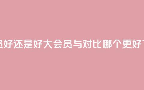 qq大会员好还是svip好(QQ大会员与SVIP对比:哪个更好?) 第1张 qq大会员好还是svip好(QQ大会员与SVIP对比:哪个更好?) 第1张