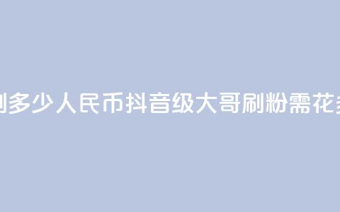 抖音75级大哥需要刷多少人民币(抖音75级大哥刷粉需花多少人民币?) 第1张 抖音75级大哥需要刷多少人民币(抖音75级大哥刷粉需花多少人民币?) 第1张