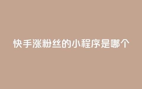 快手涨粉丝的小程序是哪个,彩虹云商城怎么自动补充卡密 - ks一键取赞下载 低价购买QQ会员的平台 第1张 快手涨粉丝的小程序是哪个,彩虹云商城怎么自动补充卡密 - ks一键取赞下载 低价购买QQ会员的平台 第1张