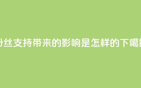 粉丝支持带来的影响是怎样的? 第1张 粉丝支持带来的影响是怎样的? 第1张