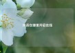 抖音在哪里开启在线