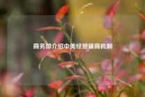 商务部介绍中美经贸磋商机制