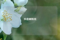 抖音刷粉丝