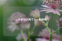 qq会员可以两个人一起用吗