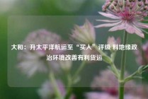 大和：升太平洋航运至“买入”评级 料地缘政治环境改善有利货运