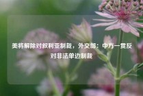 美将解除对叙利亚制裁，外交部：中方一贯反对非法单边制裁