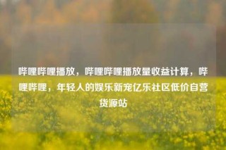 哔哩哔哩播放，哔哩哔哩播放量收益计算，哔哩哔哩，年轻人的娱乐新宠亿乐社区低价自营货源站