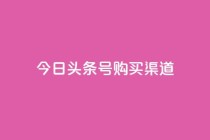今日头条号购买渠道 - 今日头条号购买途径详解与注意事项!