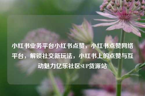 小红书业务平台小红书点赞，小红书点赞网络平台	，解锁社交新玩法，小红书上的点赞与互动魅力亿乐社区SUP货源站  第1张