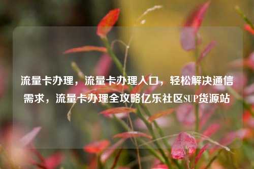 流量卡办理	，流量卡办理入口，轻松解决通信需求，流量卡办理全攻略亿乐社区SUP货源站  第1张