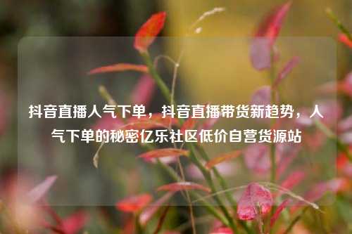 抖音直播人气下单，抖音直播带货新趋势，人气下单的秘密亿乐社区低价自营货源站  第1张