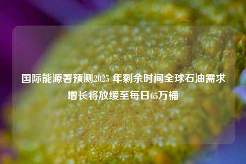 国际能源署预测2025 年剩余时间全球石油需求增长将放缓至每日65万桶  第1张