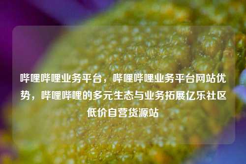 哔哩哔哩业务平台，哔哩哔哩业务平台网站优势	，哔哩哔哩的多元生态与业务拓展亿乐社区低价自营货源站  第1张