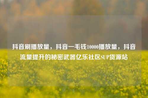 抖音刷播放量，抖音一毛钱10000播放量	，抖音流量提升的秘密武器亿乐社区SUP货源站  第1张