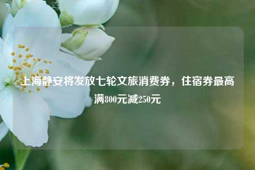 上海静安将发放七轮文旅消费券，住宿券最高满800元减250元  第1张