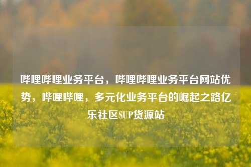 哔哩哔哩业务平台	，哔哩哔哩业务平台网站优势，哔哩哔哩，多元化业务平台的崛起之路亿乐社区SUP货源站  第1张
