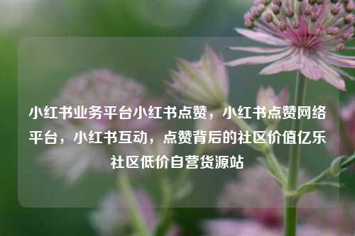 小红书业务平台小红书点赞	，小红书点赞网络平台，小红书互动，点赞背后的社区价值亿乐社区低价自营货源站  第1张