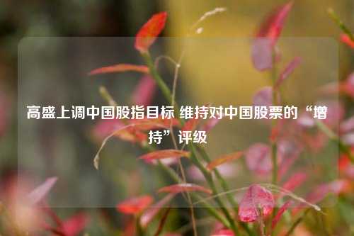 高盛上调中国股指目标 维持对中国股票的“增持”评级  第1张