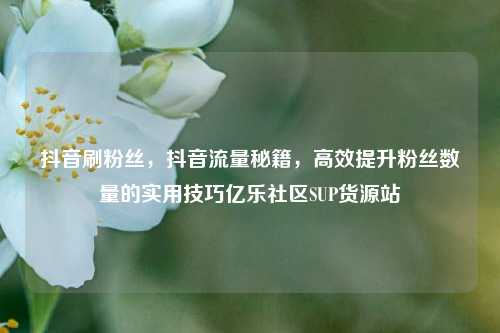 抖音刷粉丝	，抖音流量秘籍，高效提升粉丝数量的实用技巧亿乐社区SUP货源站  第1张