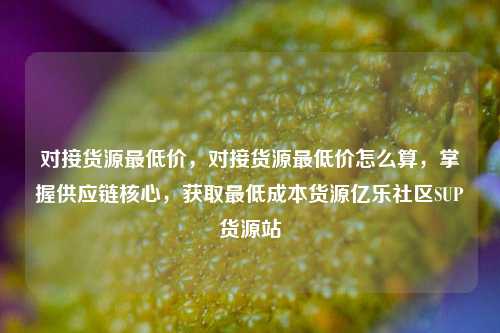 对接货源最低价，对接货源最低价怎么算，掌握供应链核心	，获取最低成本货源亿乐社区SUP货源站  第1张