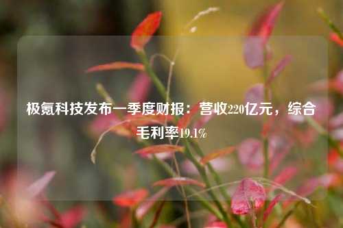 极氪科技发布一季度财报：营收220亿元，综合毛利率19.1%  第1张