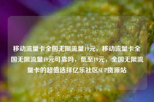 移动流量卡全国无限流量19元	，移动流量卡全国无限流量19元可靠吗，低至19元，全国无限流量卡的超值选择亿乐社区SUP货源站  第1张