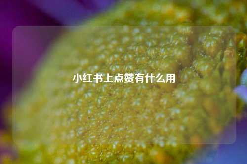 小红书上点赞有什么用  第1张