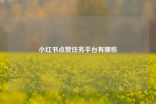 小红书点赞任务平台有哪些  第1张