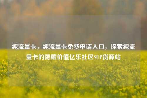 纯流量卡	，纯流量卡免费申请入口，探索纯流量卡的隐藏价值亿乐社区SUP货源站  第1张