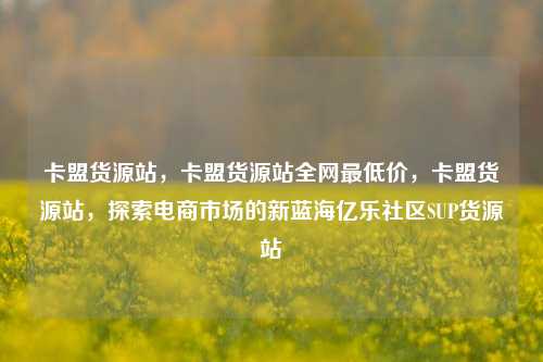 卡盟货源站	，卡盟货源站全网最低价，卡盟货源站，探索电商市场的新蓝海亿乐社区SUP货源站  第1张