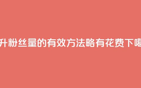 提升粉丝量的有效方法，略有花费  第1张