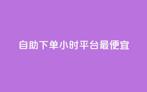 自助下单24小时平台最便宜 - 24小时自助下单平台，最低价尽在掌握~  第1张