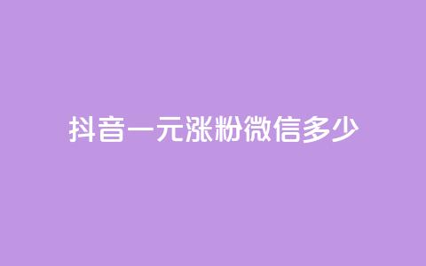 抖音一元涨粉1000微信多少 - 抖音一元涨粉1000，微信粉丝量将增加多少？!  第1张