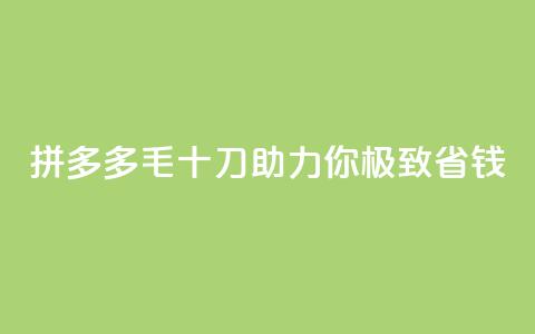 拼多多1毛十刀助力你，极致省钱！  第1张