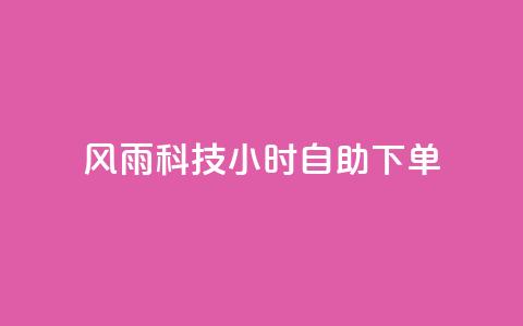 风雨科技24小时自助下单 - 风雨科技24小时自助服务订购！  第1张