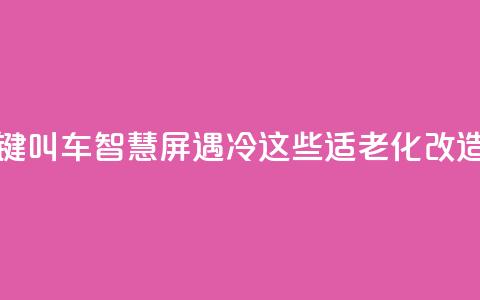 上海部分“一键叫车	”智慧屏遇冷？这些适老化改造问题待优化  第1张