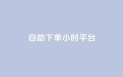 自助下单24小时平台 - 24小时自助下单平台，方便快捷服务。  第1张